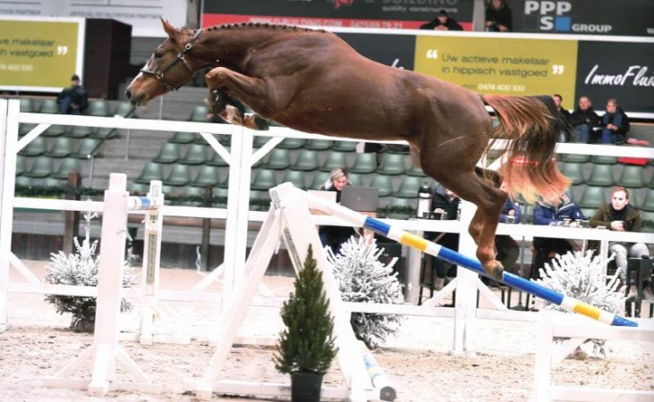 Roxette vt Rechteind, mooie referentie voor BHT!  BHT maakt zich op voor veiling op 14/1/2020.