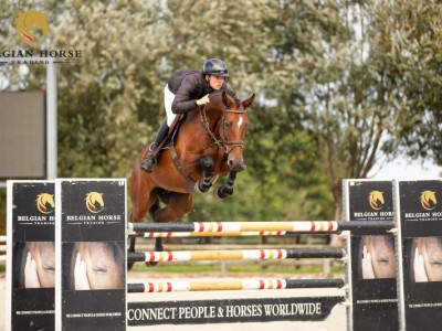 Autumn Auction Action