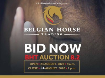 9 chevaux et 1 embryon dans la BHT 8.2 auction! Temps pour faire votre offre!