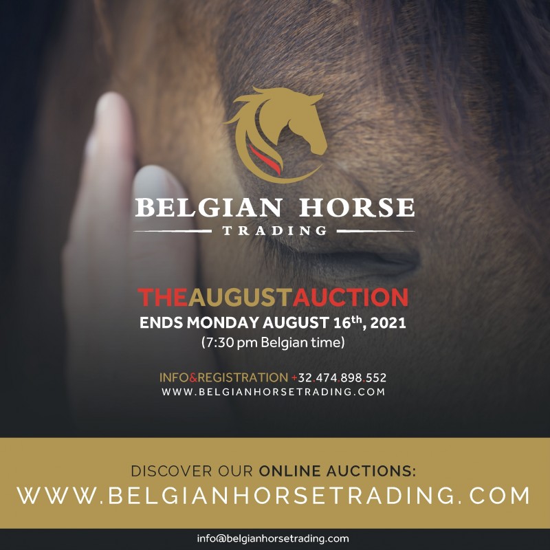 The August Auction | 15-16/08