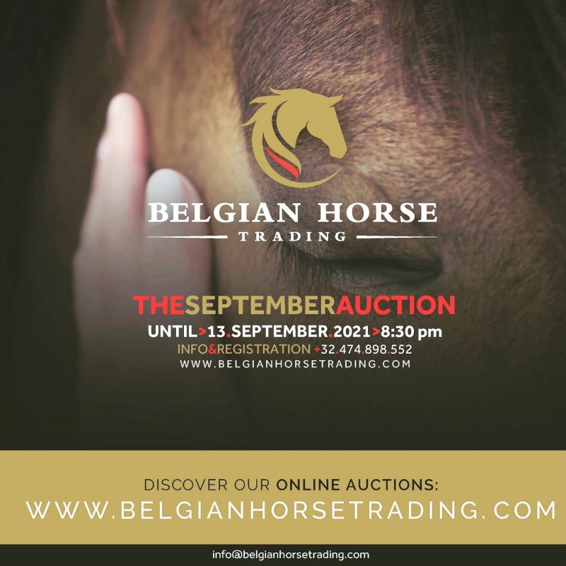 The September Auction | 12-13/09